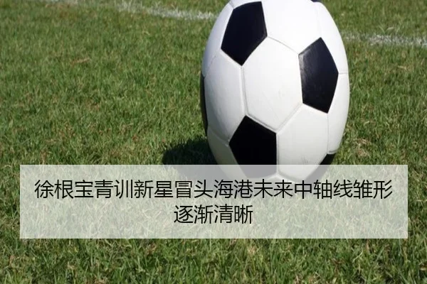 徐根宝青训新星冒头海港未来中轴线雏形逐渐清晰 | JIUZHOU